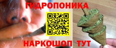 шишки Кинель