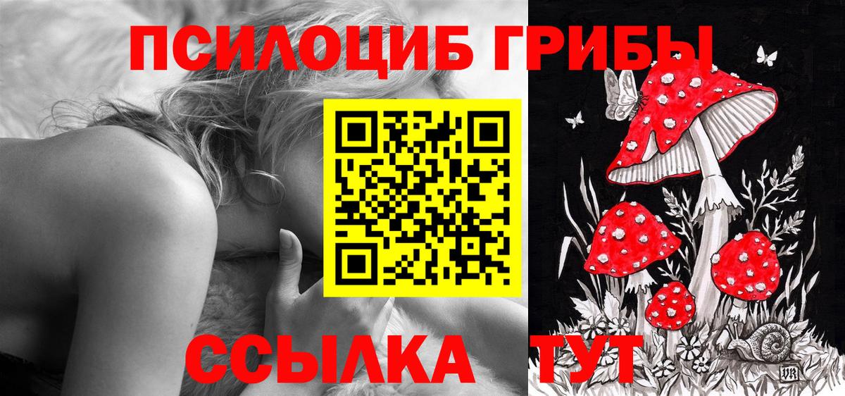 Псилоцибиновые грибы Magic Shrooms  Вход с VPN  купить закладку  Краснознаменск 